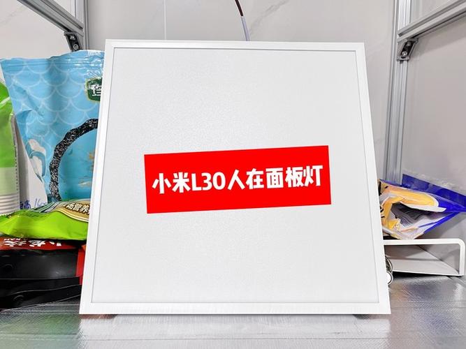 怎么用米家控制灯截图