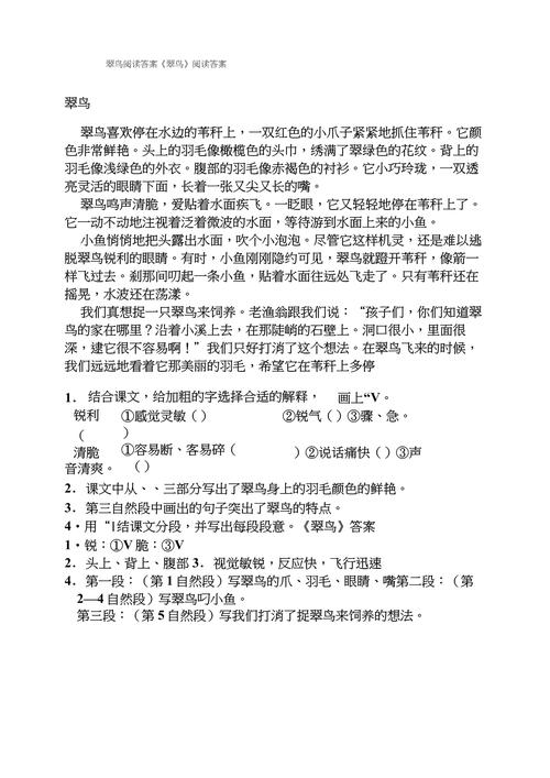 一只椰子阅读理解答案