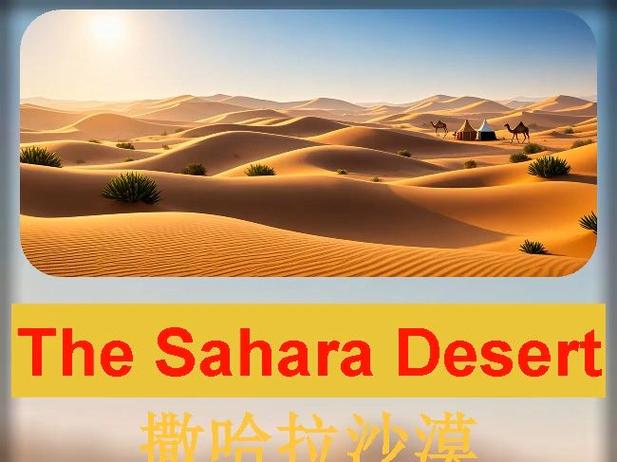 沙漠英语desert