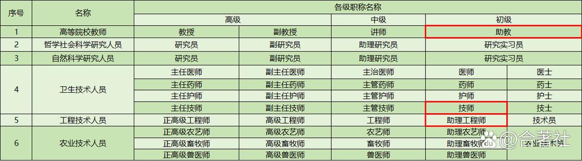 技师分几个等级