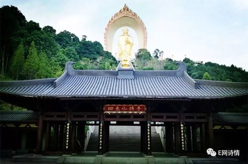 东林佛号最好听的念佛声缩略图