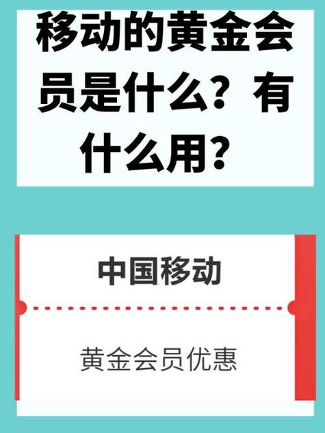 移动电视vip黄金会员是什么图标