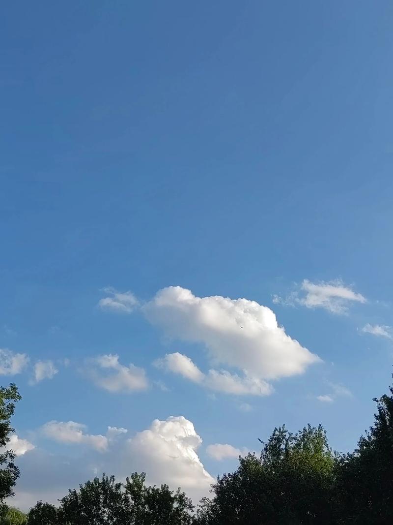无忧天空