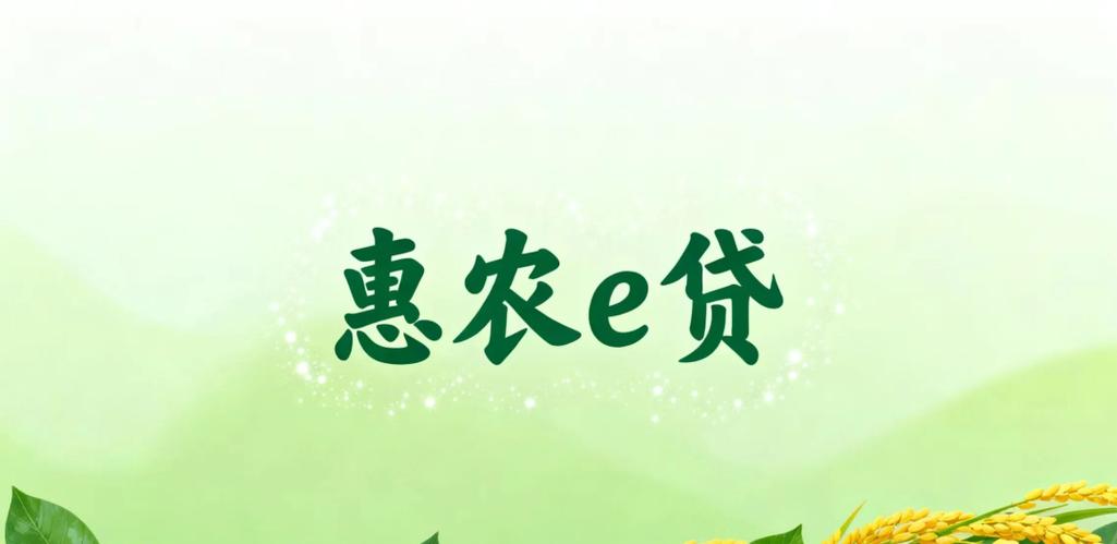 惠农贷款