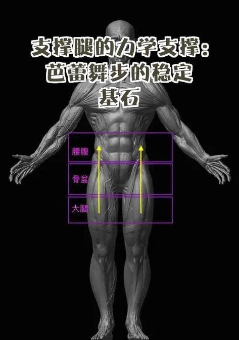 芭蕾舞基本功训练图标