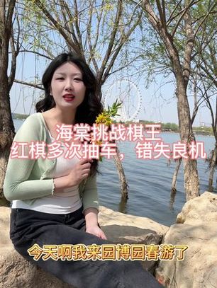 象棋直播用什么平台下象棋图标