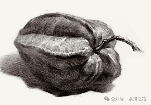 素描新手必练300图
