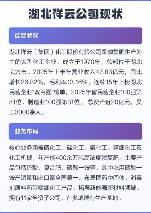 湖北三箭公司现状
