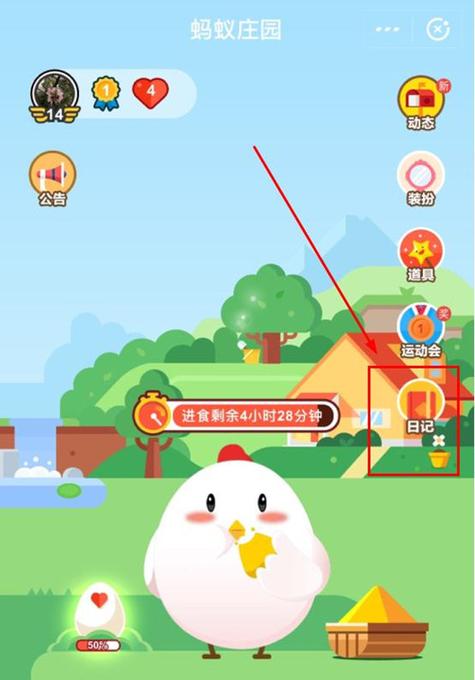 怎么给小鸡改名字