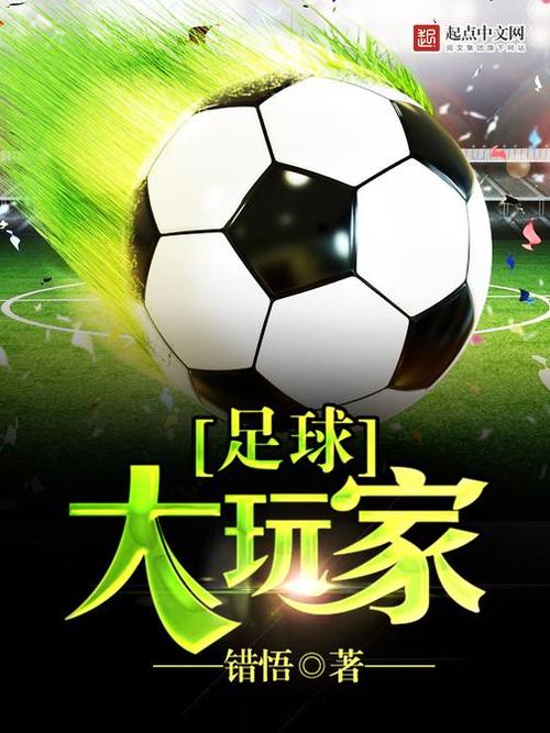 足球大玩家官网
