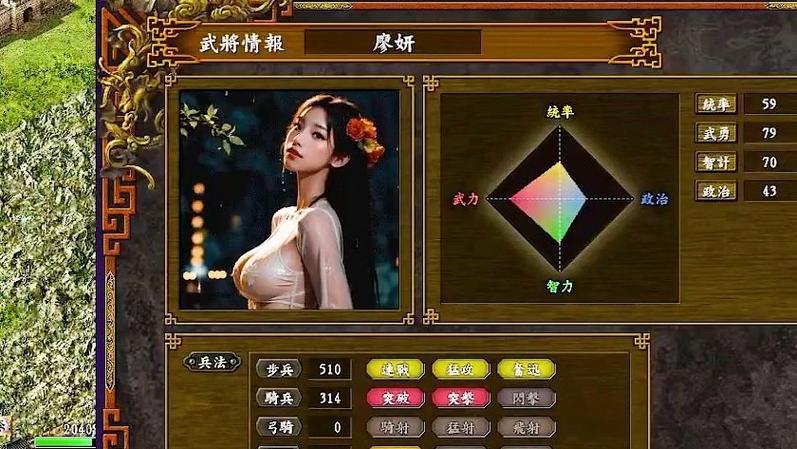 三国志9女武将图标