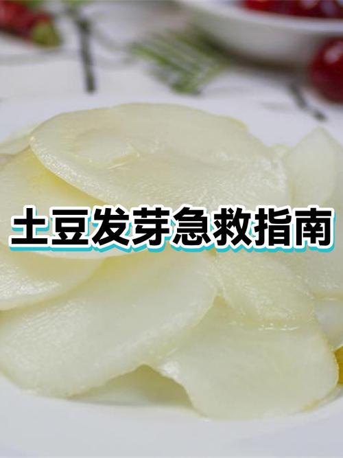 土豆轻微发绿能吃吗