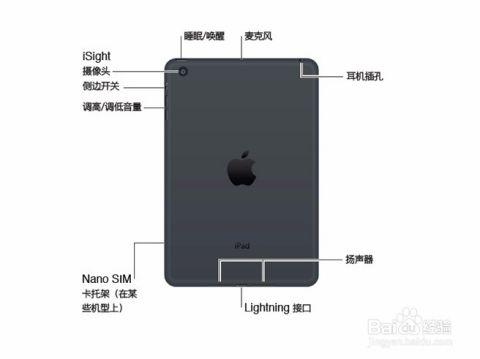 ipad2018抬起唤醒怎么设置
