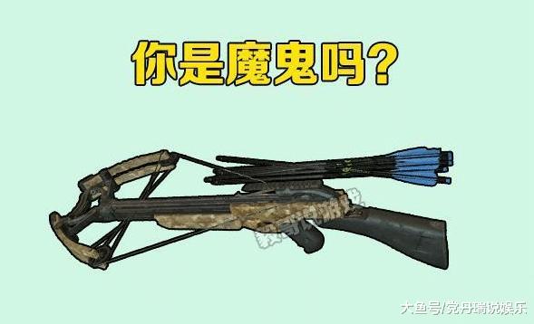 弓弩求生小说