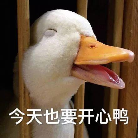 鸭鸭鸭打油诗截图