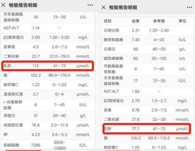 打促红素肌酐降下来了