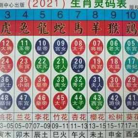 生肖卡怎么办理