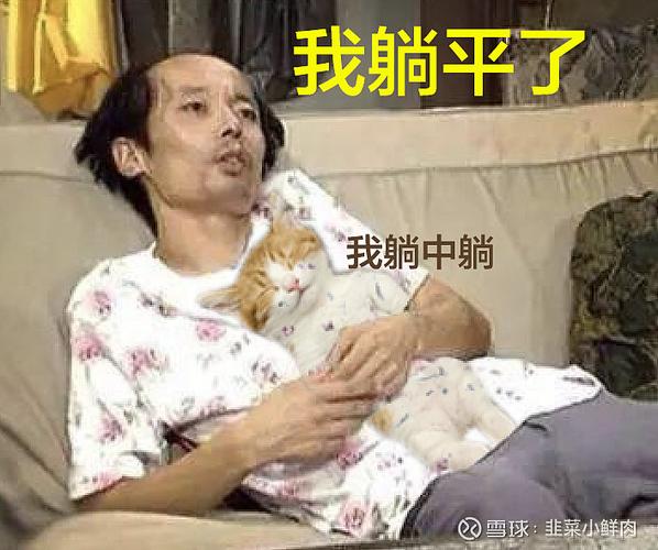 躺平的一天