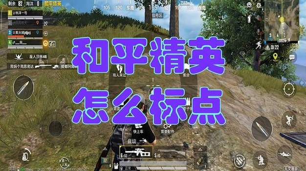 和平精英标点怎么设置一条线