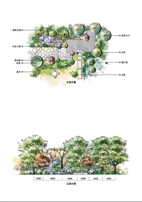 手机拍照生成平面图