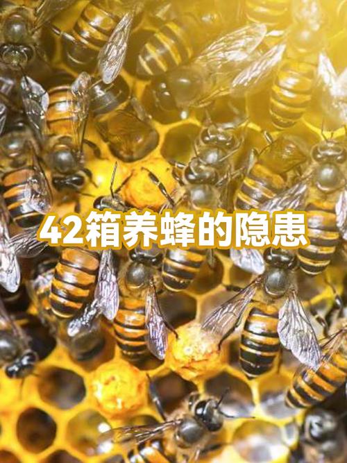 蜜源源头群