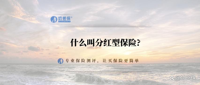 什么叫保险