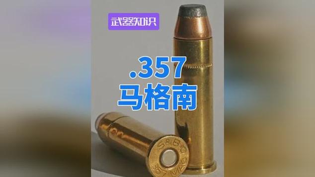 用马格南子弹的枪