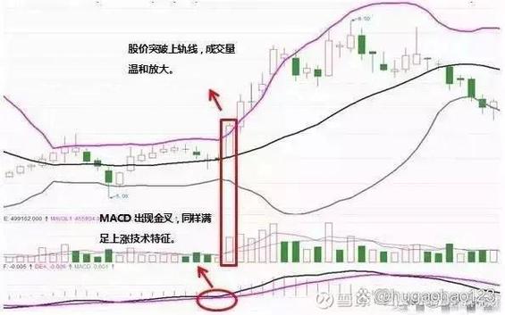 通达信加自选股在哪里加