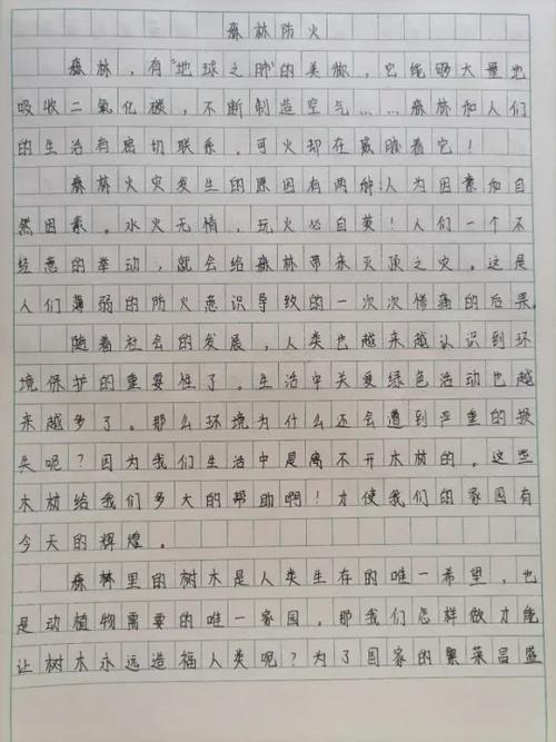森林防火作文缩略图