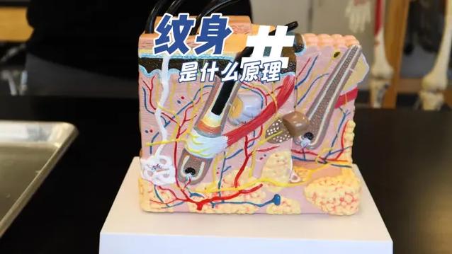 纹身是什么原理图标