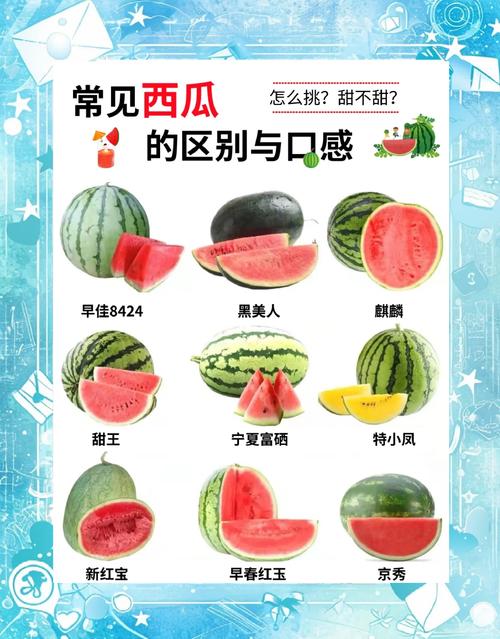 爱奇艺uwp和普通的区别