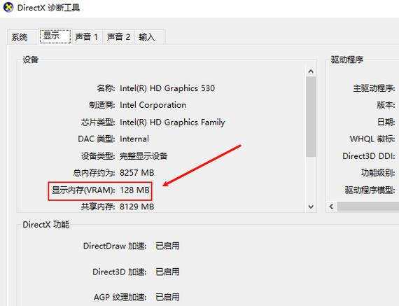 怎么看显存爆没爆