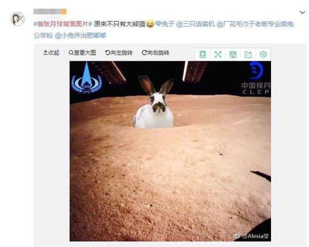 沙雕模拟器月球重力代码怎么输入