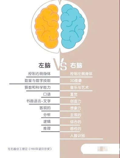 左手玩手机是左撇子吗