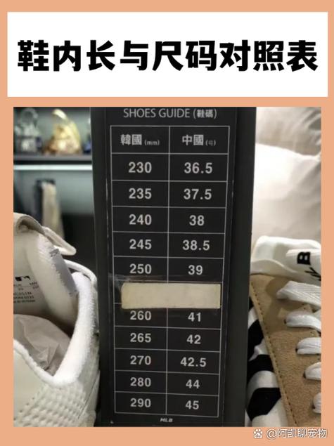 31的鞋子内长多少cm