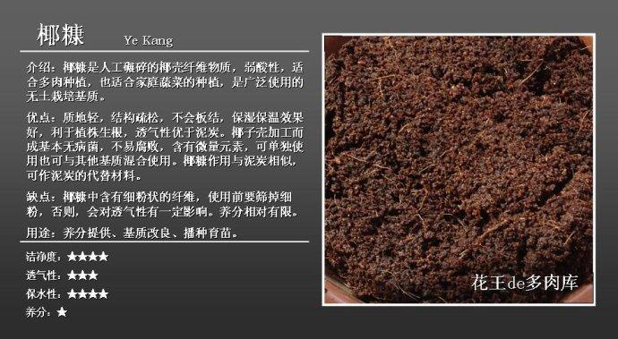 养花原文缩略图