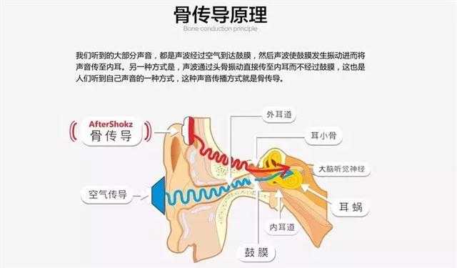 骨传导耳机