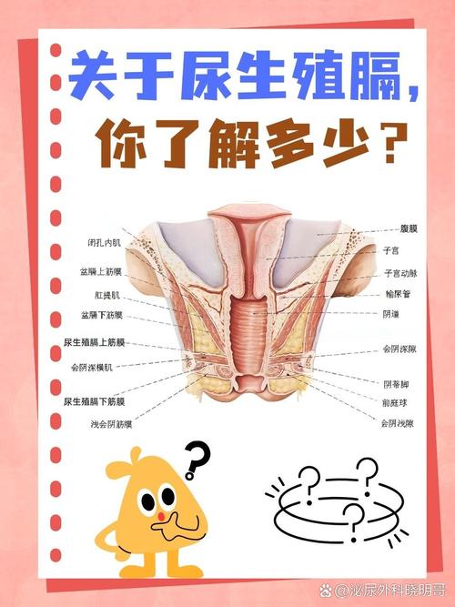 男女之间隔膜的原因