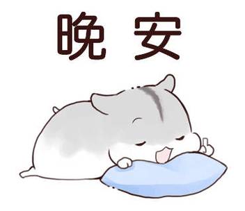 女人发晚安表情暗示