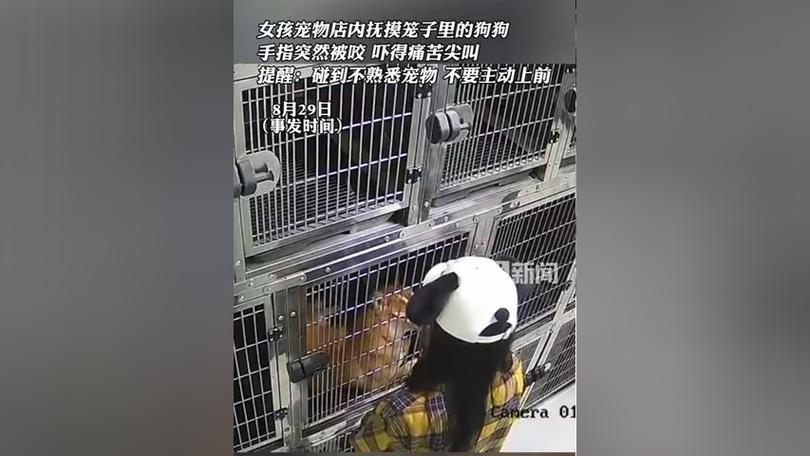 被宠物店骗了最怕三个东西截图