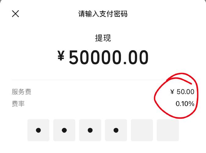 微信提现是什么意思游戏截图