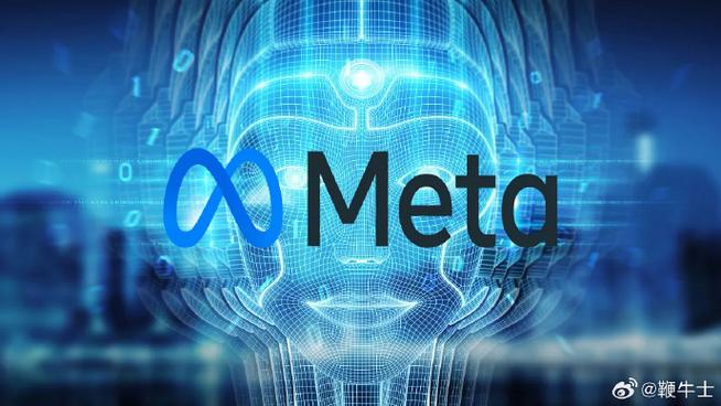 MetaPlatforms简介