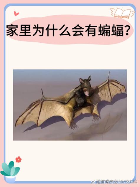 蝙蝠房间里乱飞会有病毒吗