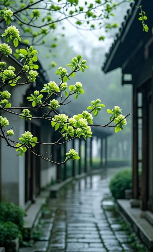 江南烟雨歌曲缩略图