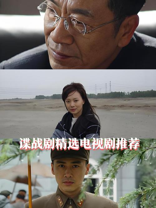 代号黑狼01谍战电视剧策驰影院