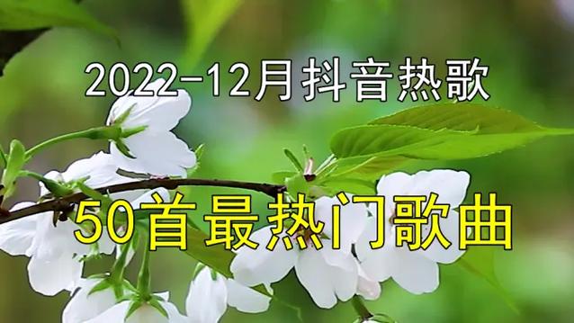 抖音12月火的歌曲