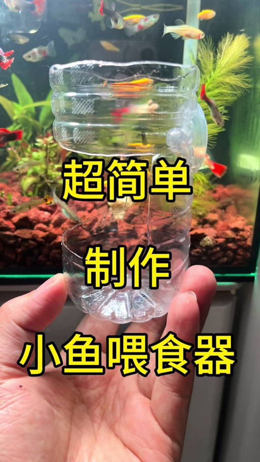 如何自制喂鱼器