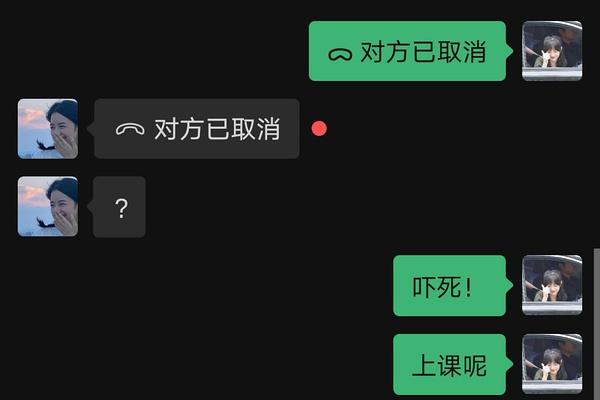 视频对方已取消什么意思