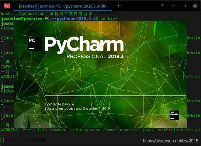 pycharm专业版汉化