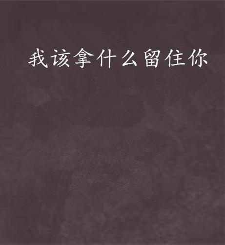 我拿什么留住你中文版